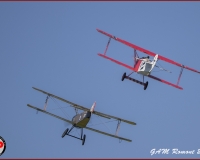 TSR Watermark - 0353
